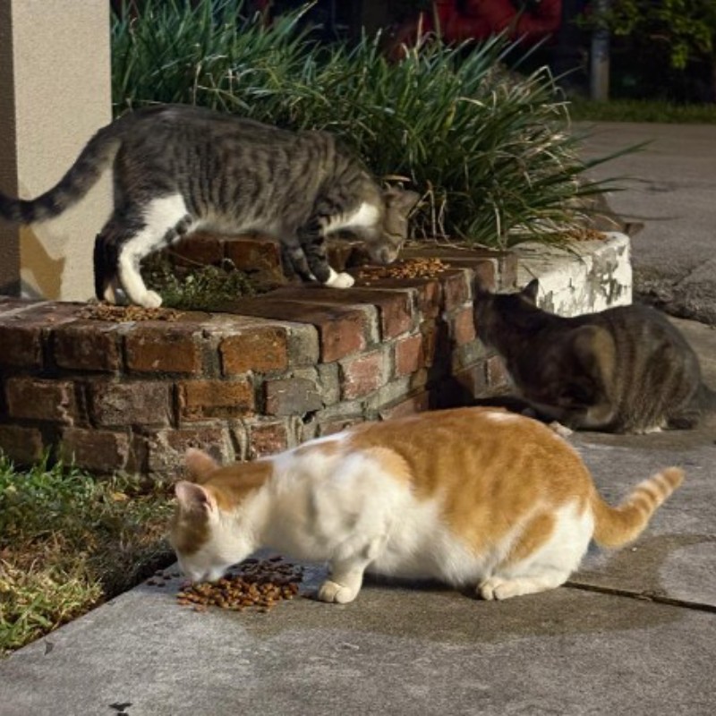 Photo of The Three Amigos