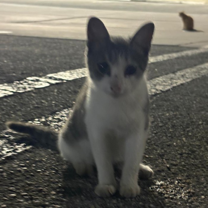 Photo of Minnie